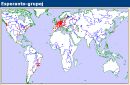 Esperanto-novajho