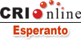 Esperanto-novajho